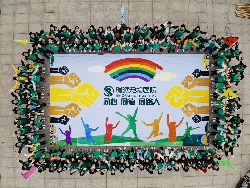 共绘蓝图之纳斯卡巨画